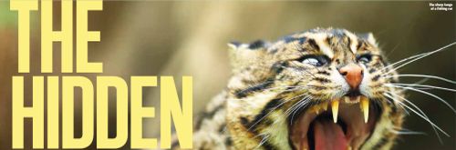 Pay Drechsel is going for his daily morning walk around Thalangama Wetland, in Sri Lanka's capital Colombo.